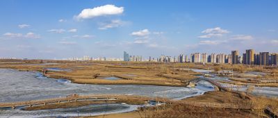 外滩湿地