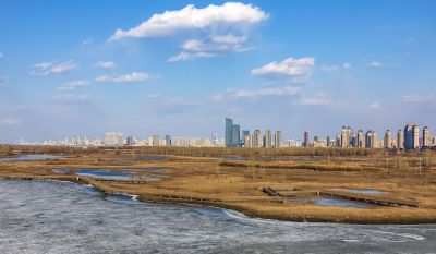 外滩湿地