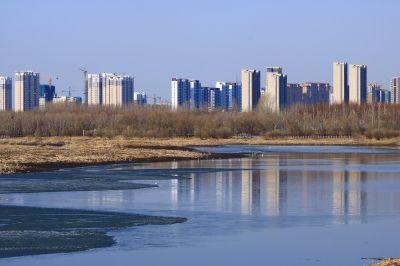 哈尔滨大剧院湿地春光
