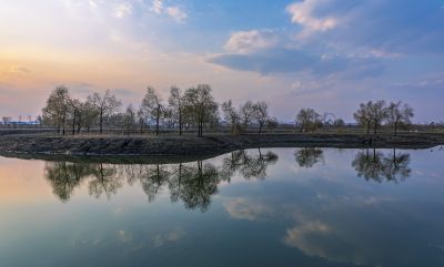 外滩湿地夕阳