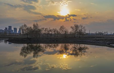 外滩湿地夕阳