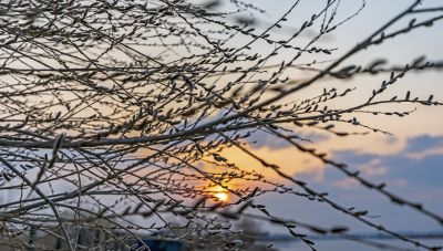 外滩湿地夕阳