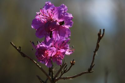 春暖花开
