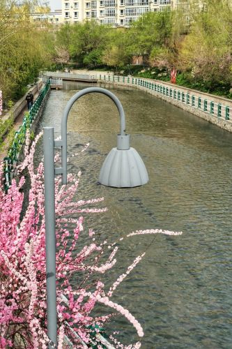 春意荡然鸟语花马家沟畔香丽水公园
