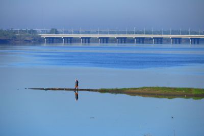 湿地晨光