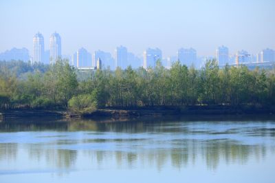 湿地风光