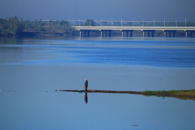 湿地风光