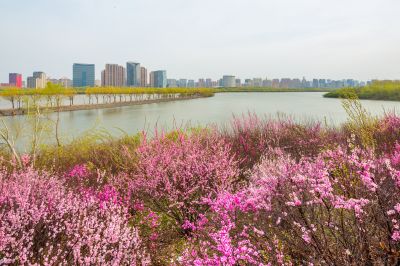 花团锦簇的松花江畔2