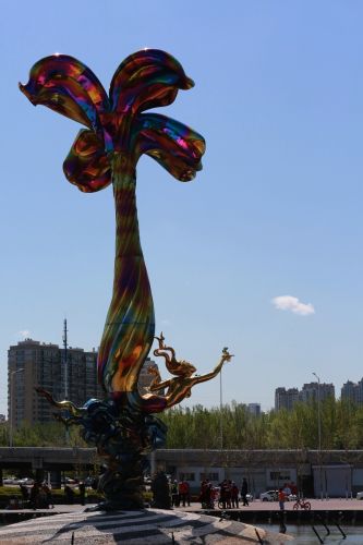 丁香花