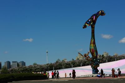丁香花