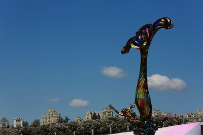 丁香花