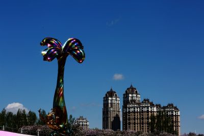丁香花