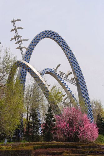 小桃红