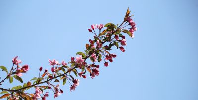 音乐广场