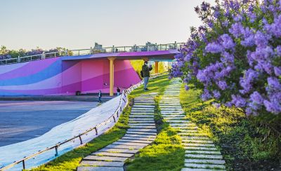 丁香公园2