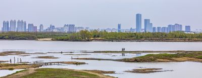 大剧院湿地