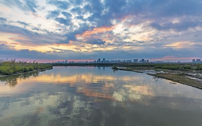 太阳岛湿地晚霞