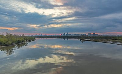 太阳岛湿地晚霞