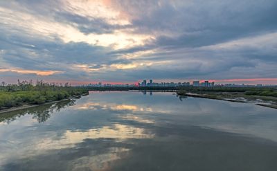 太阳岛湿地晚霞
