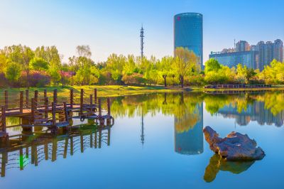 丁香花开香满园1