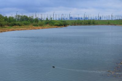 雨中的湿地