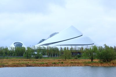 雨中的湿地