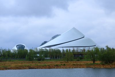 雨中的湿地