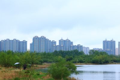 雨中的湿地