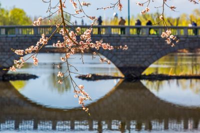 满园春色太阳岛2