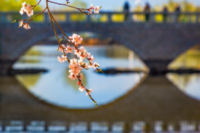 满园春色太阳岛2