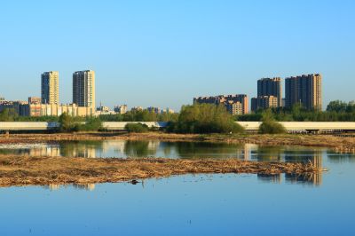 湿地