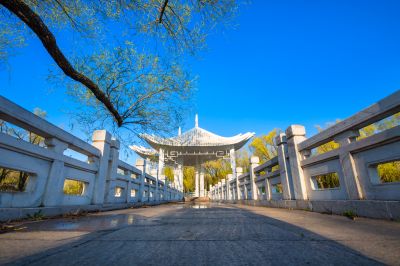 满园春色太阳岛1