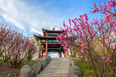 中国亭园花红柳绿春正好3
