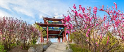 中国亭园花红柳绿春正好3