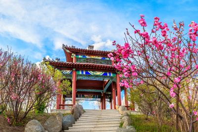 中国亭园花红柳绿春正好3