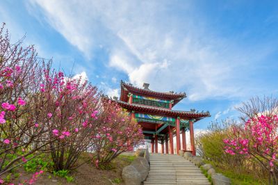 中国亭园花红柳绿春正好3
