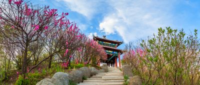 中国亭园花红柳绿春正好3