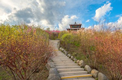 中国亭园花红柳绿春正好3
