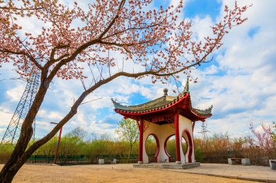 中国亭园花红柳绿春正好1