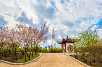 中国亭园花红柳绿春正好1