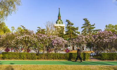 春日松花江畔斯大林公园