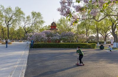 春日松花江畔斯大林公园