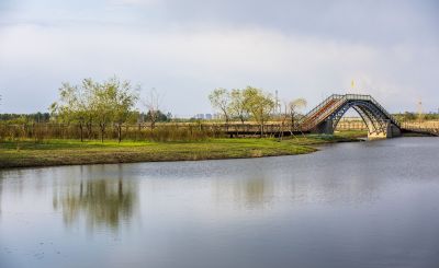 外滩湿地初春