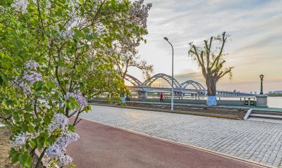 松花江畔的春天1
