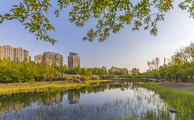 丁香公园的春天3