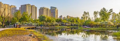 丁香公园的春天3