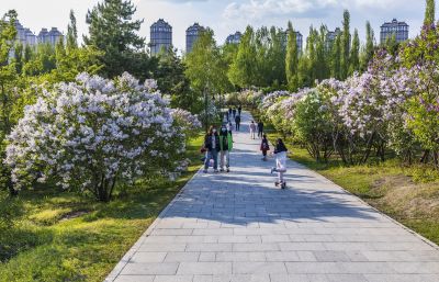 丁香公园的春天2