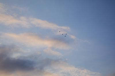 外滩湿地春色2