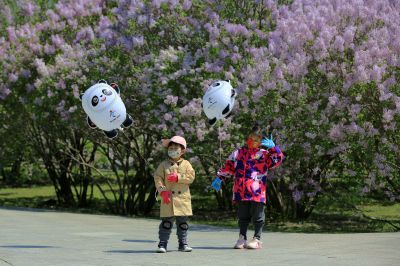丁香公园
