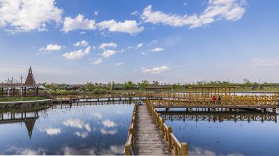 长岭湖夏季风光
